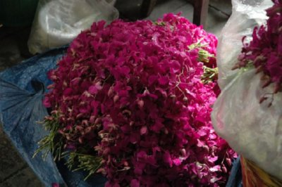 COMERCIO - FLORES (10)